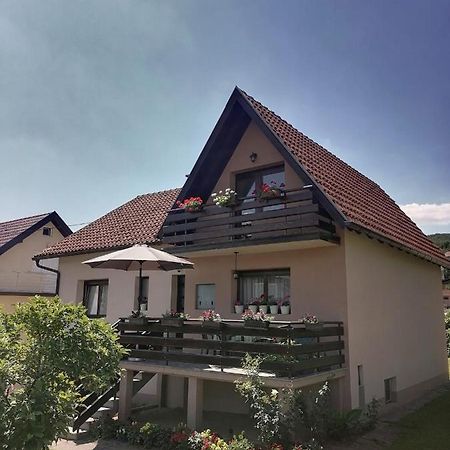 巴伊纳巴什塔 Putnicka Kuca Kod Dragane酒店 外观 照片